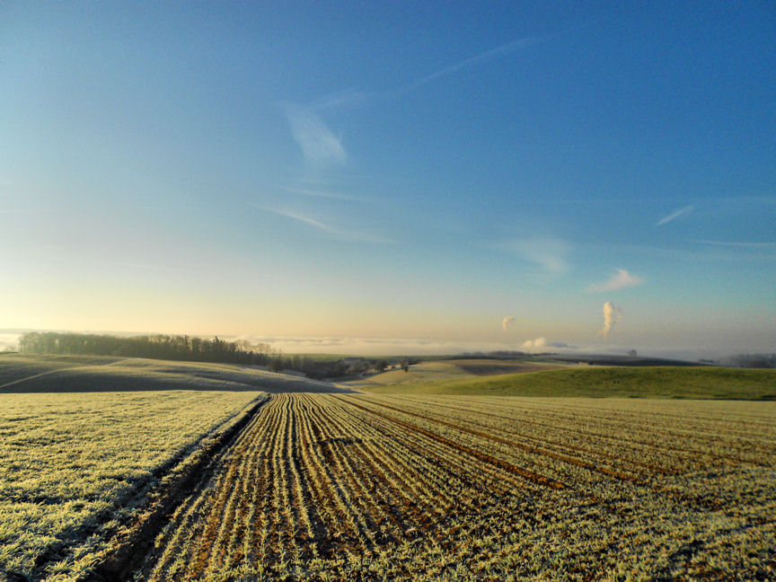 Auf dem Weg