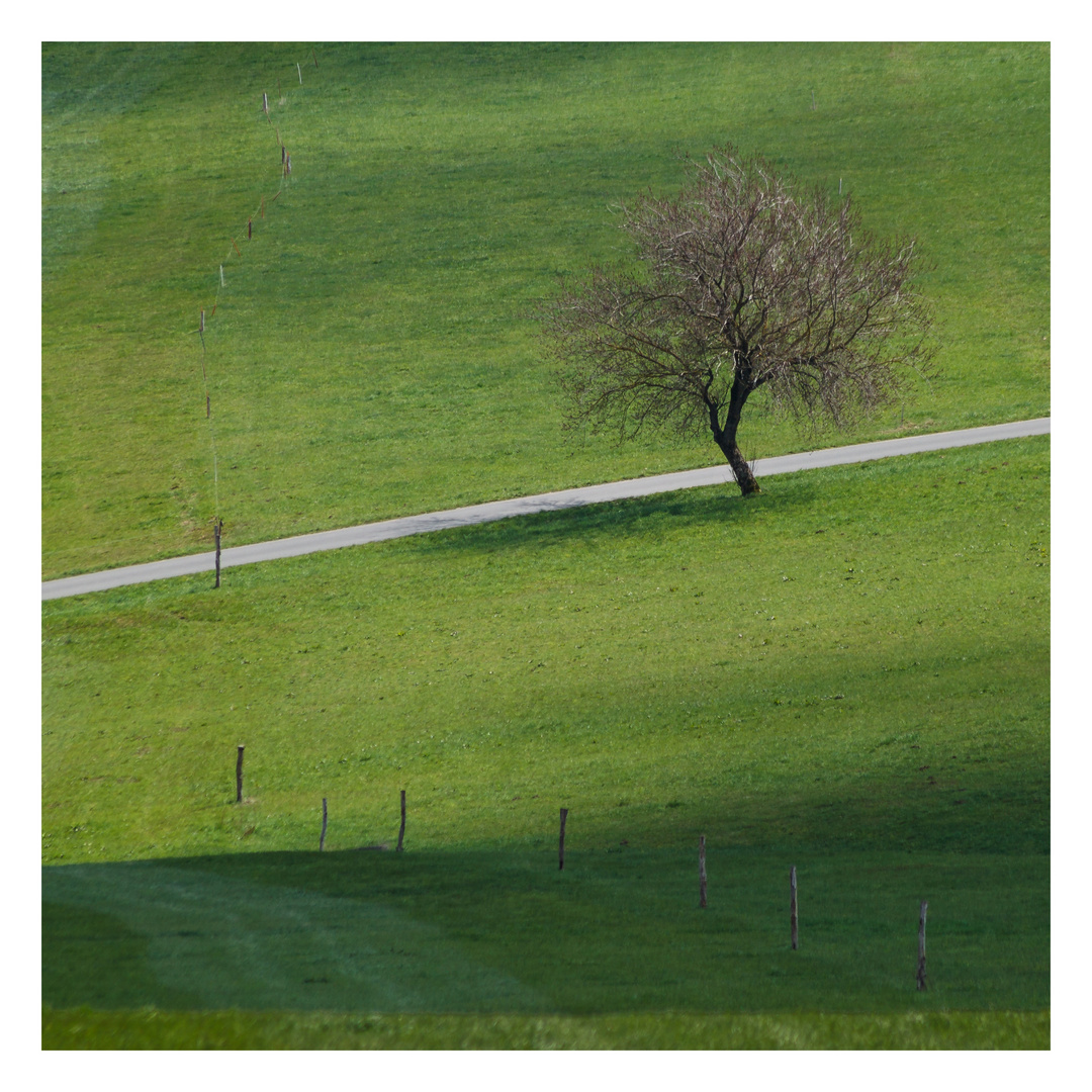 Auf dem Weg 