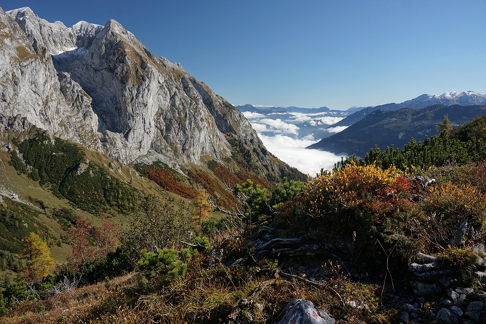 Auf dem Weg