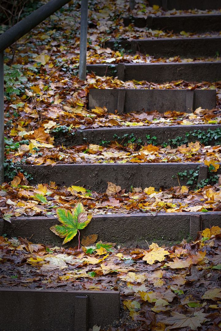 Auf dem Weg