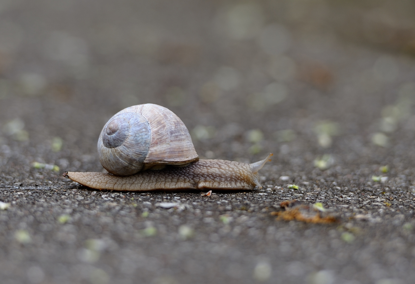 "Auf dem Weg..."