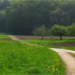 auf dem Weg