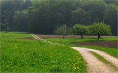 auf dem Weg