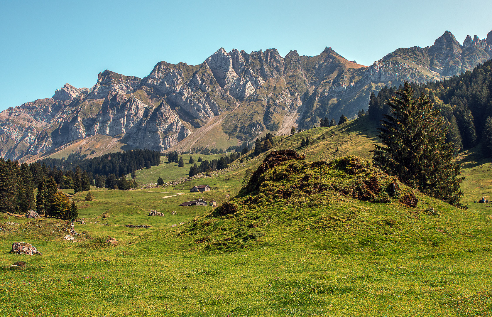 Auf dem Weg...