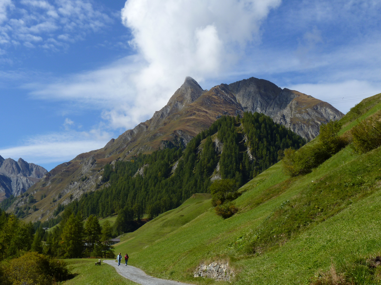 auf dem Weg