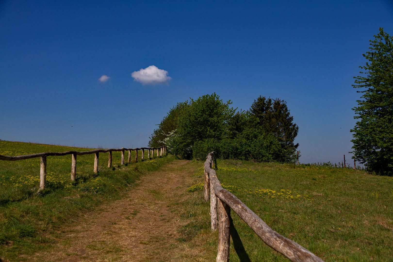 Auf dem Weg