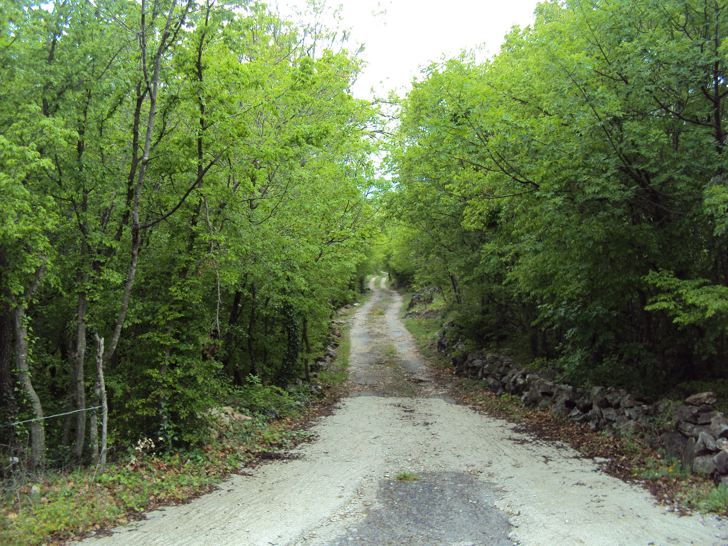 Auf dem Weg bleiben