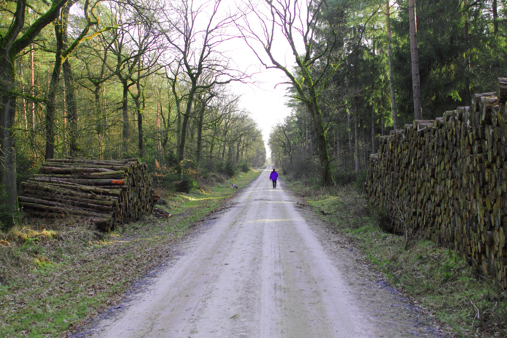 Auf dem Weg