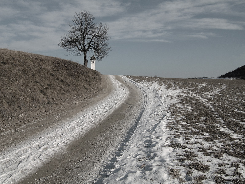 Auf dem Weg