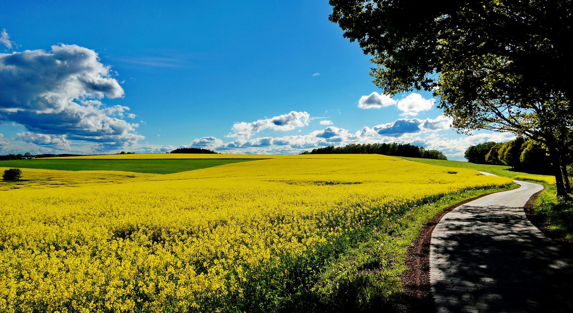 auf dem Weg