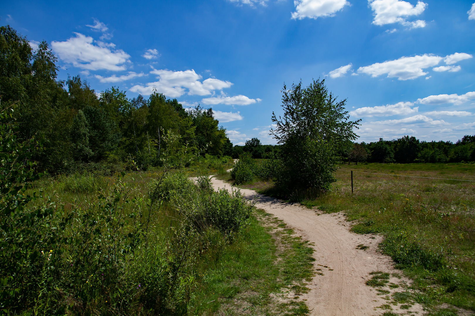 Auf dem Weg der Hühnerbruch-Tour