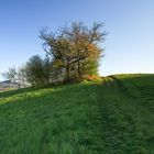 Auf dem Weg durch den Frühling