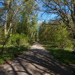 Auf dem Weg durch den Müritz-Nationalpark