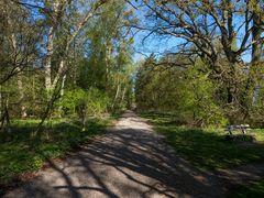 Auf dem Weg durch den Müritz-Nationalpark