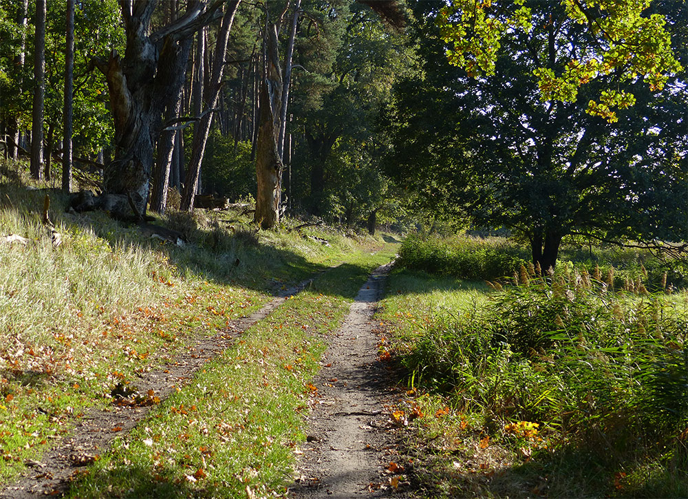 Auf dem Weg durch den Mütitz-Nationalpark