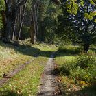 Auf dem Weg durch den Mütitz-Nationalpark