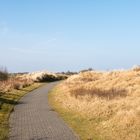 Auf dem Weg durch die Ostdünen