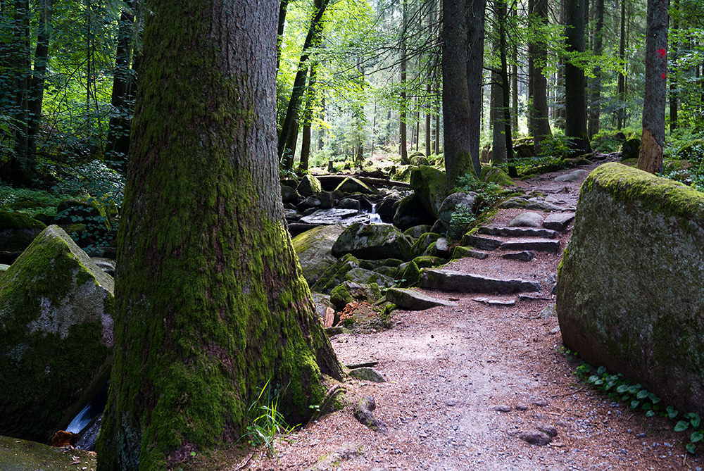 Auf dem Weg durch die Saußbachklamm