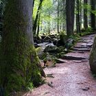 Auf dem Weg durch die Saußbachklamm