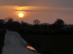 Auf dem Weg durch's Feld