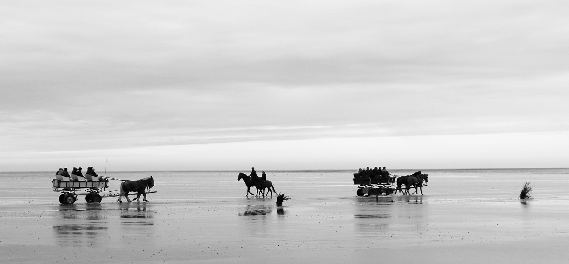 Auf dem Weg durchs Watt von Cuxhaven zur Insel Neuwerk