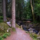 Auf dem Weg entlang der Saußbachklamm