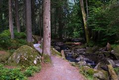 Auf dem Weg entlang der Saußbachklamm