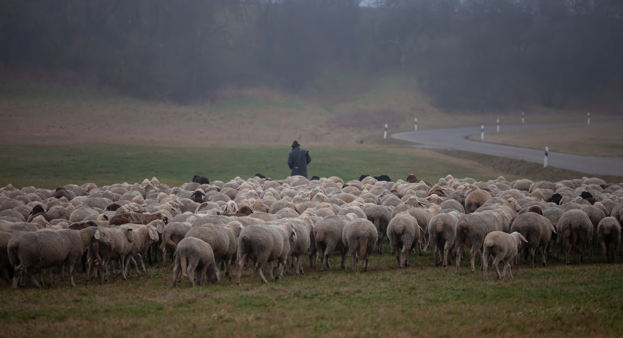 Auf dem Weg