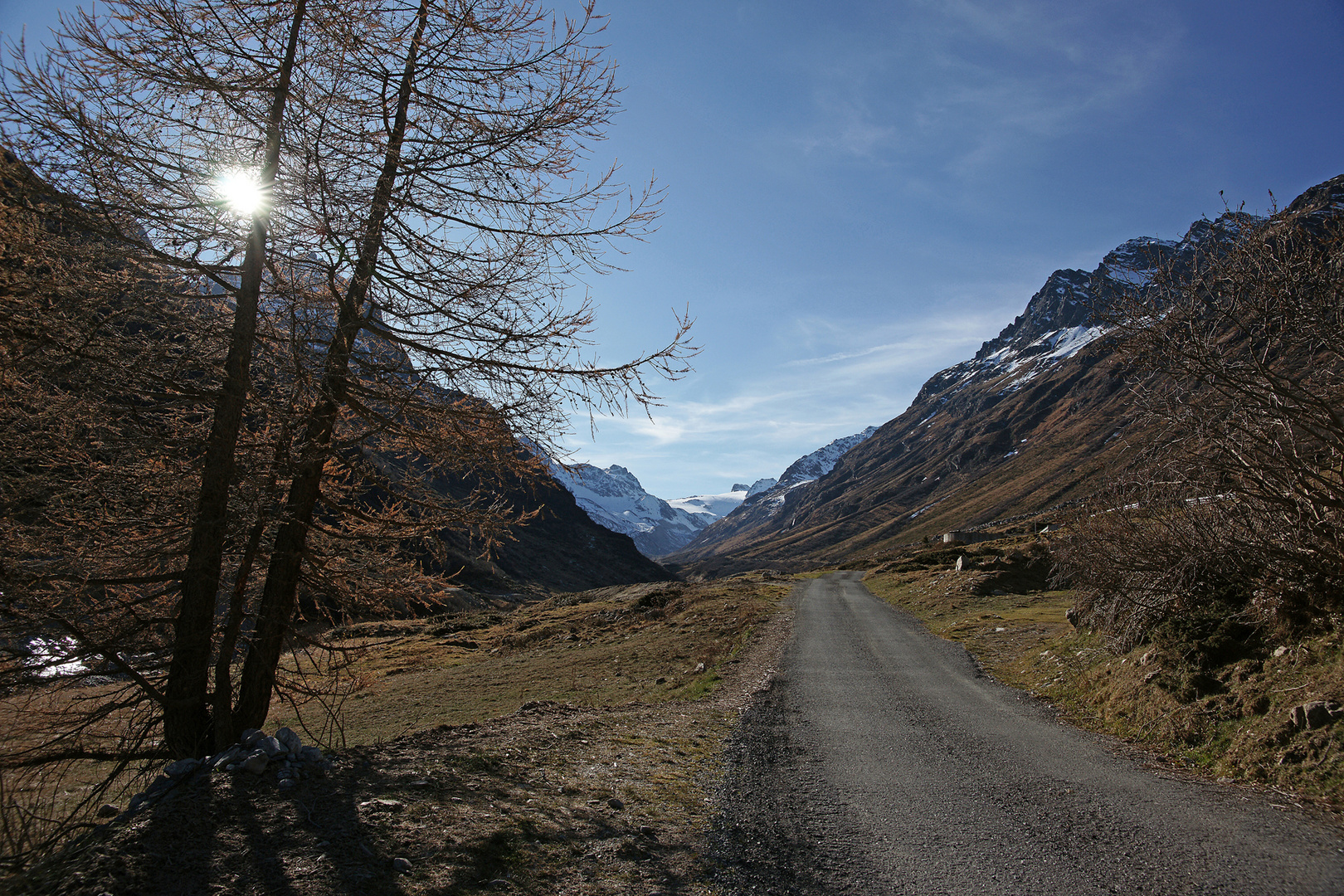 auf dem Weg...