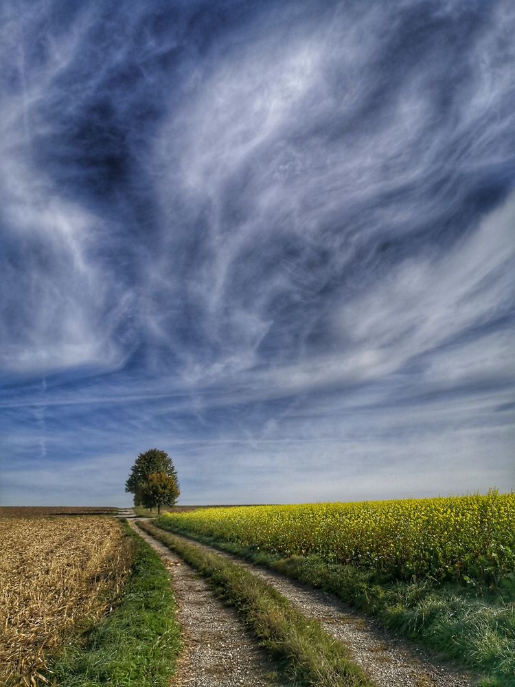 Auf dem Weg Foto & Bild landschaft, kulturlandschaften, bäume Bilder auf Auf dem Weg Foto & Bild landschaft, kulturlandschaften, bäume Bilder auf