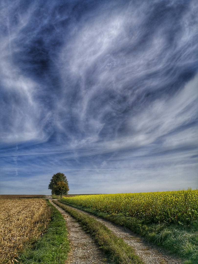 Auf dem Weg 