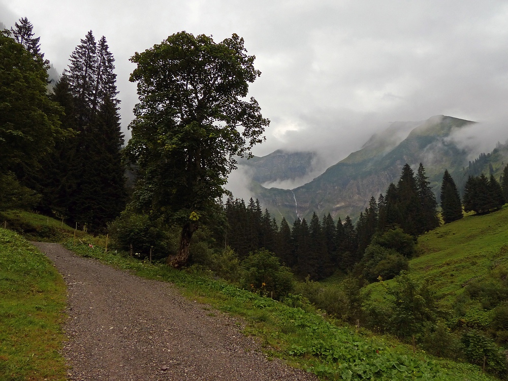 Auf dem Weg hinauf zur Dietersbachalpe