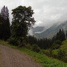 Auf dem Weg hinauf zur Dietersbachalpe