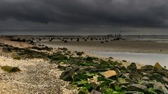 AUF DEM WEG II