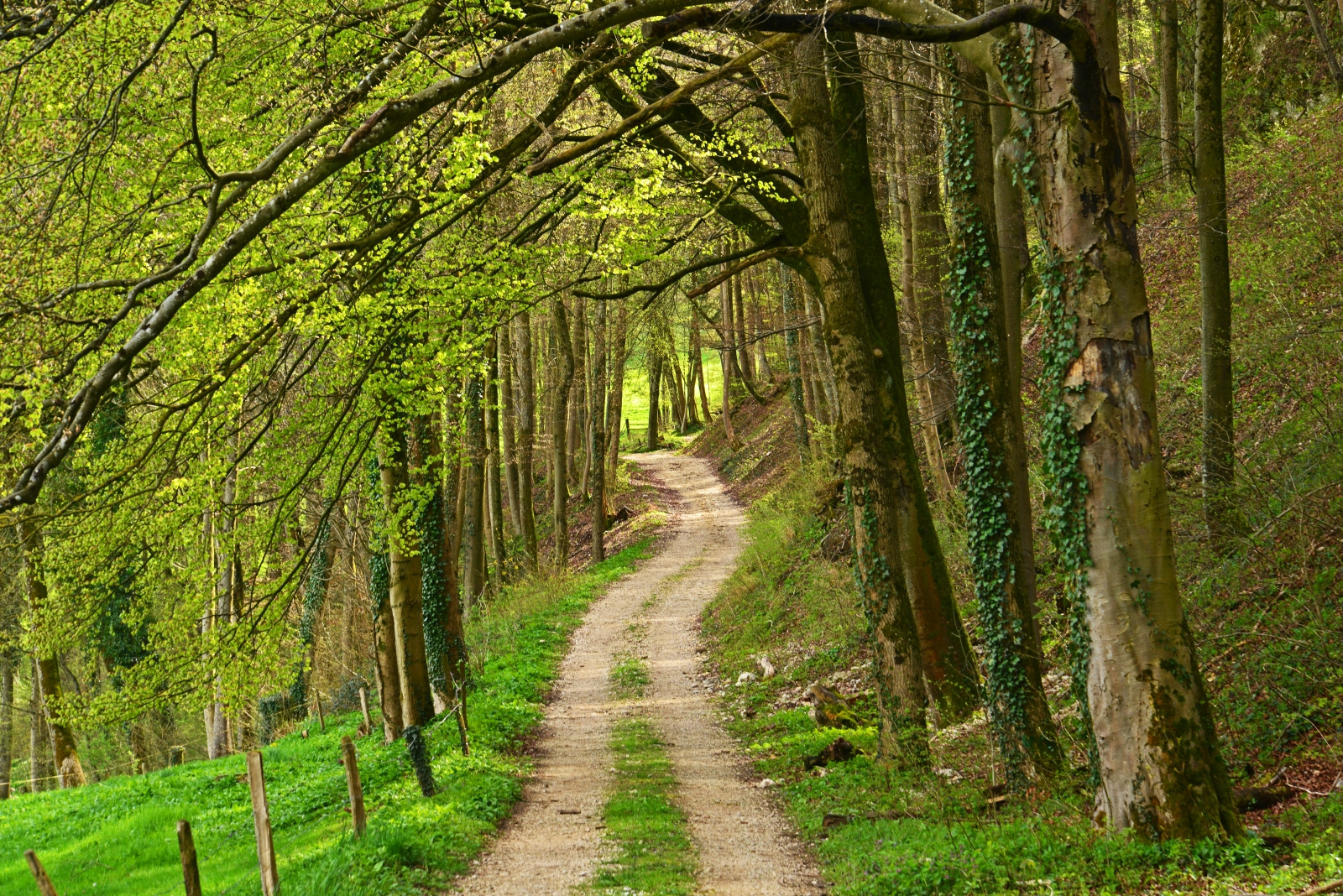 Auf dem Weg in den Frühling.