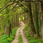 Auf dem Weg in den Frühling.