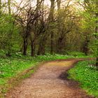 Auf dem Weg in den Frühling...