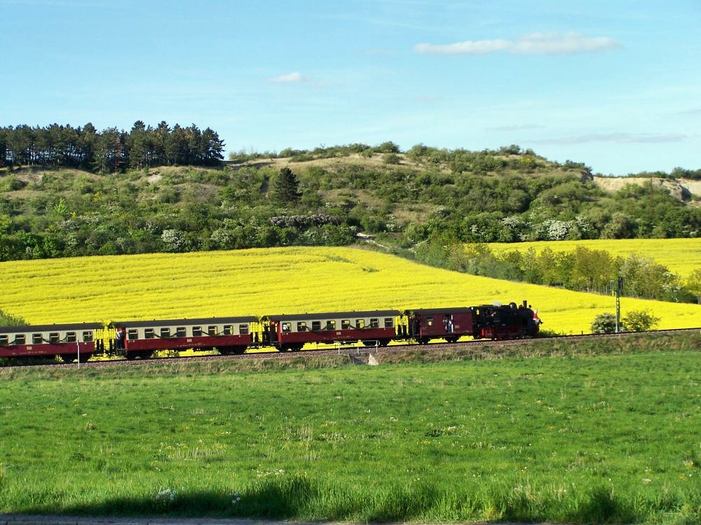 Auf dem Weg in den Frühling