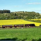 Auf dem Weg in den Frühling