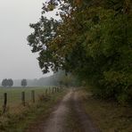 Auf dem Weg in den Herbst