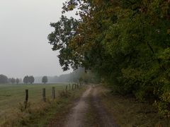 Auf dem Weg in den Herbst