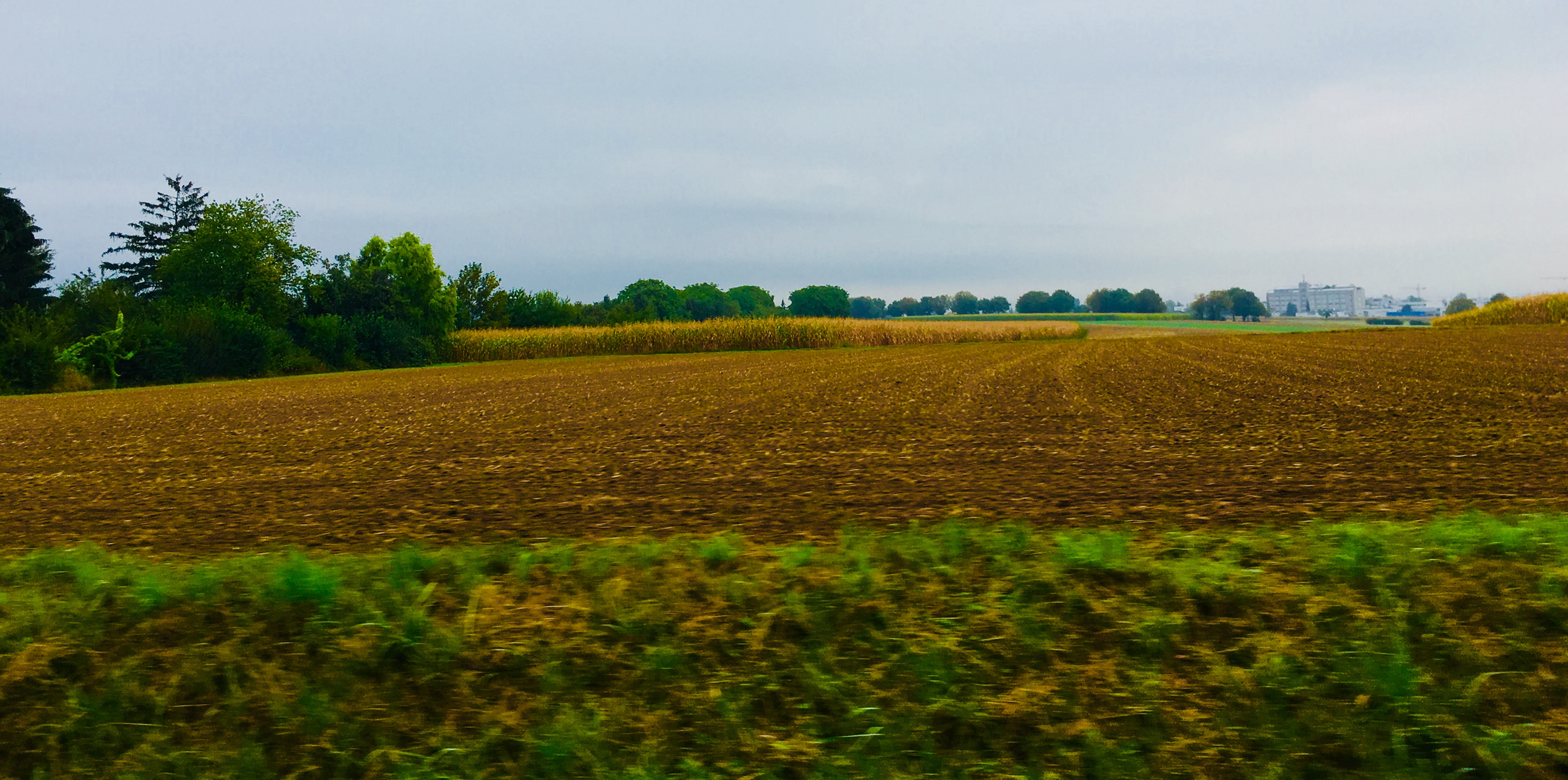 auf dem Weg in den Herbst 