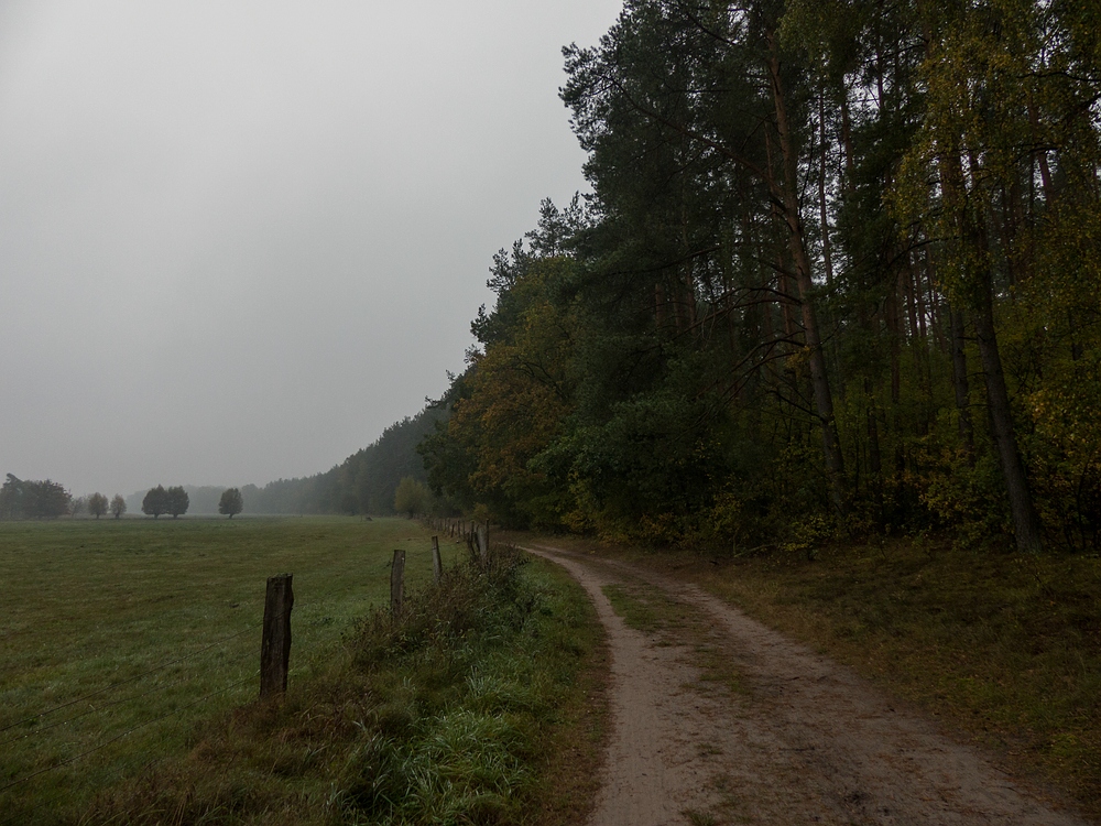 Auf dem Weg in den Müritz Nationalpark