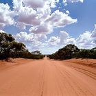 Auf dem Weg in den Mungo NP