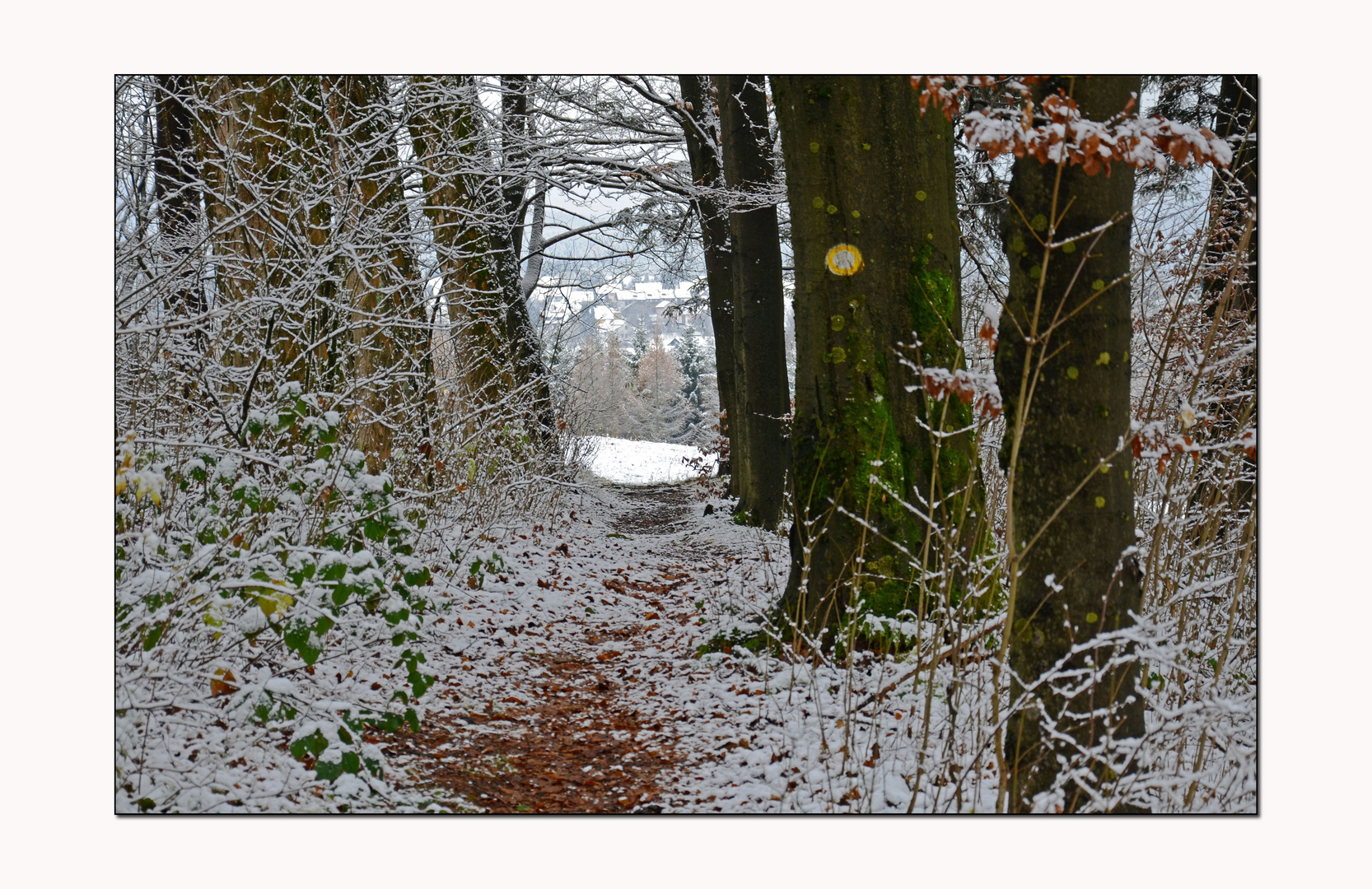 ...auf dem Weg in den nächsten Winter