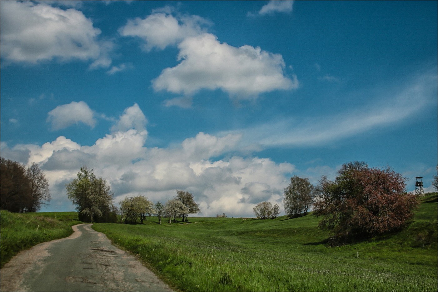 Auf dem Weg in den Wald (1)