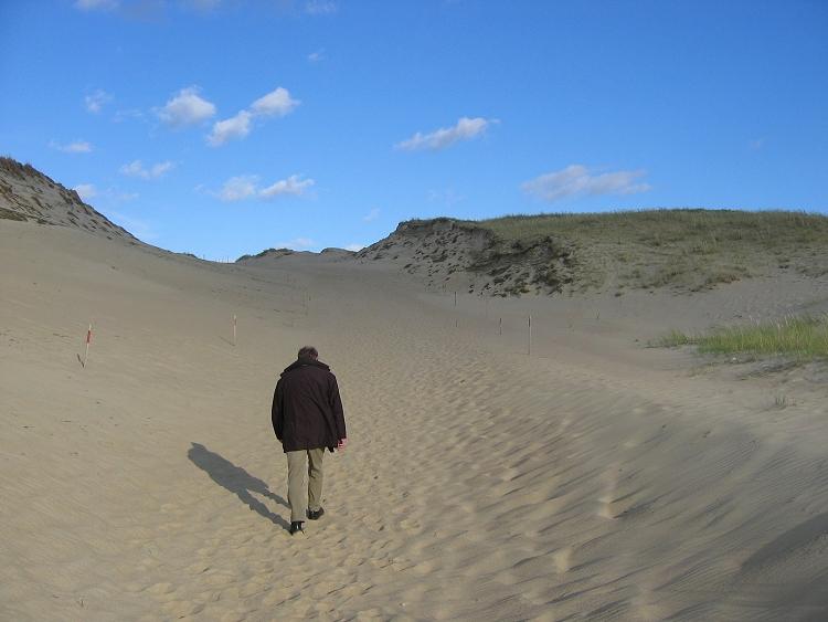 Auf dem Weg in die Dünen.