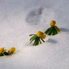 Auf dem Weg in Richtung Frühling