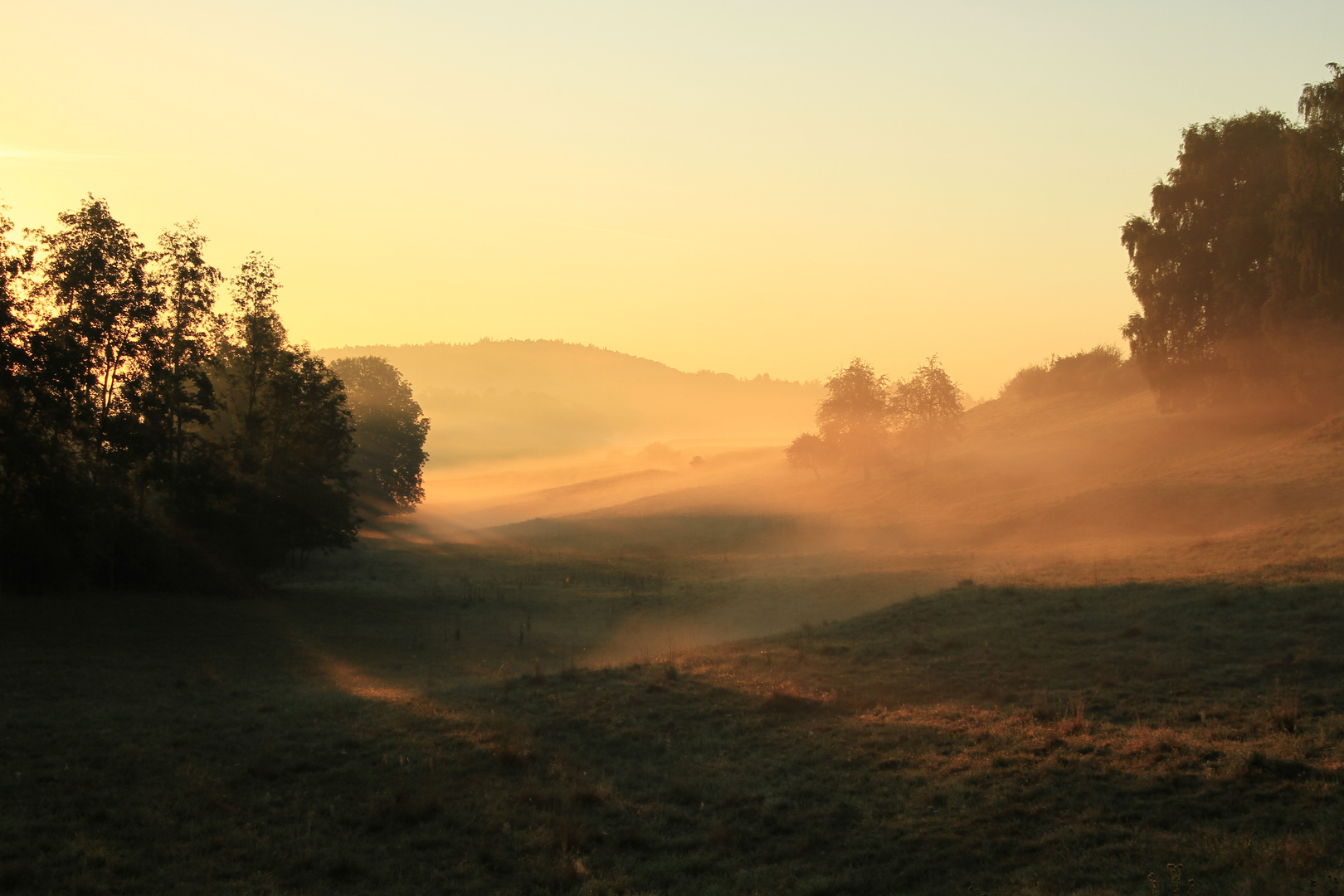 Auf dem Weg ins Auenland