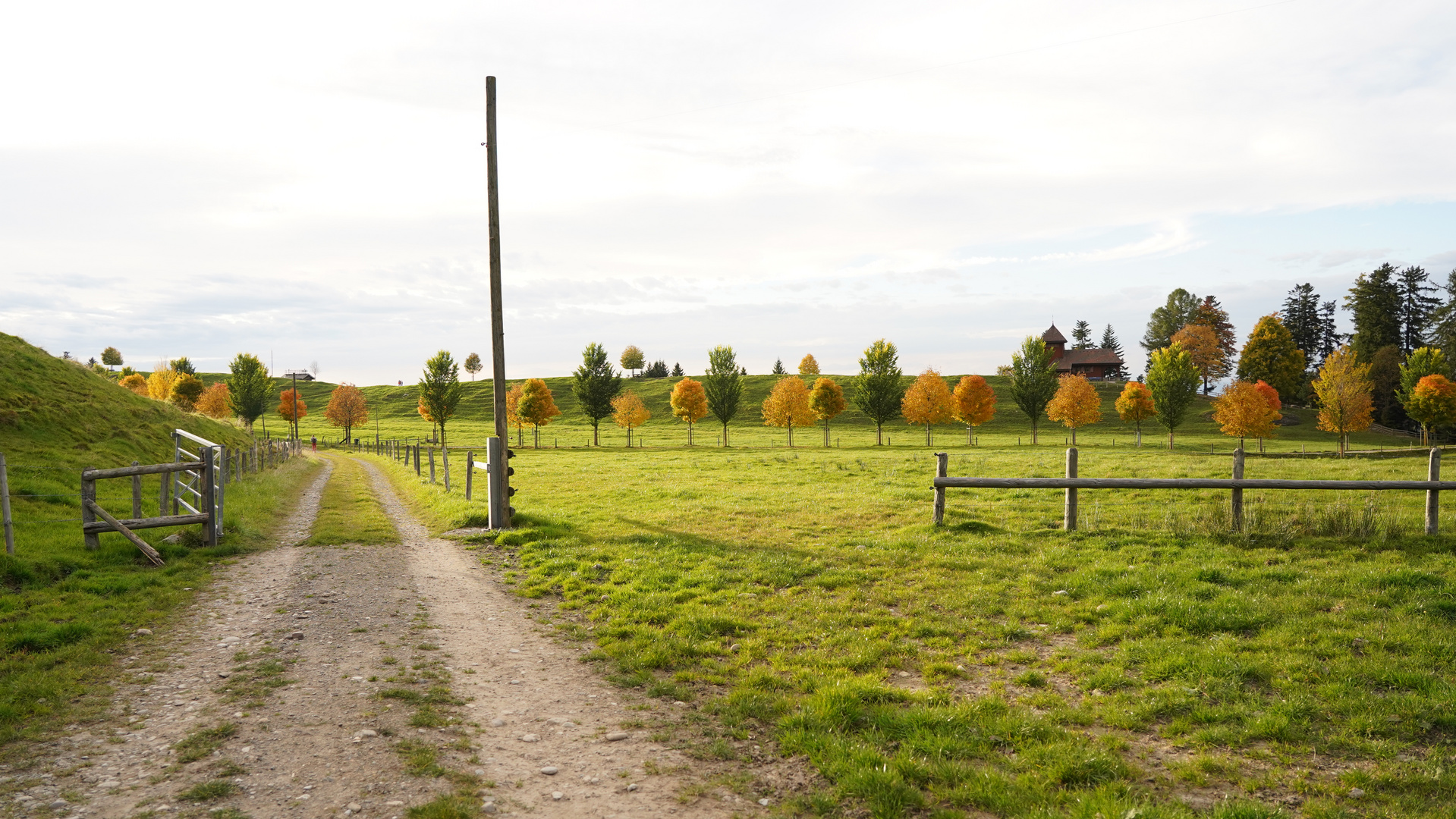 Auf dem Weg ins Auenland